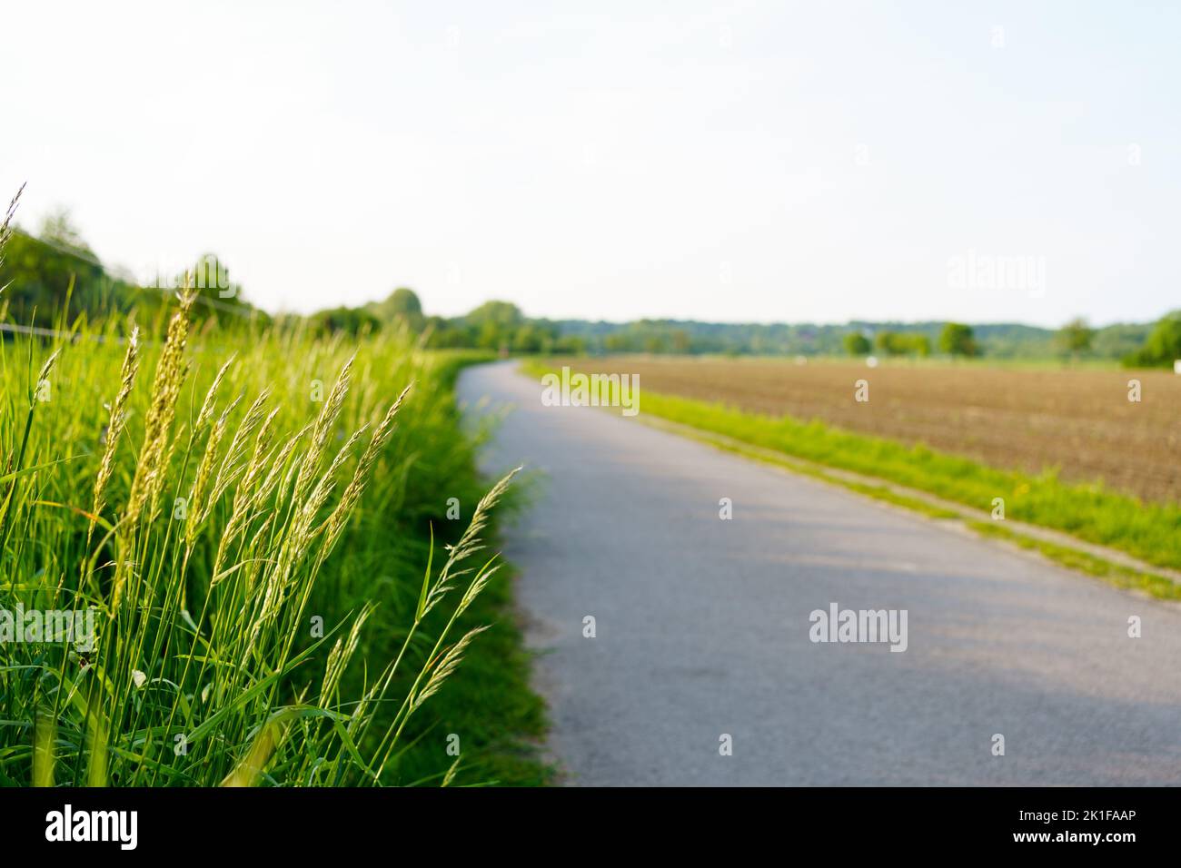 Asphalt Straßenpanorama in den Feldern Landseite am sonnigen Frühlingstag Stockfoto