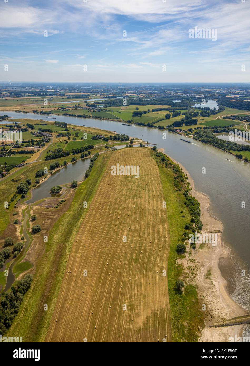 Luftaufnahme, gemähtes Feld mit Strohballen, Rheinaue Bislich-Vahnum mit Altrhein am Rhein, Bislich, Wesel, Niederrhein, Nordrhein-Westfalen Stockfoto