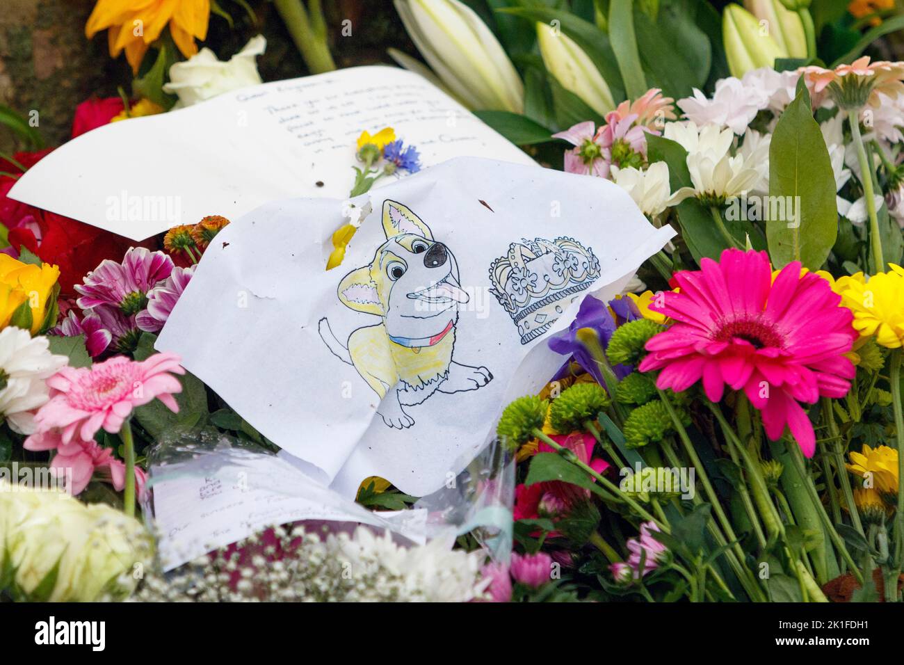 Ihre Majestät Königin Elizabeth II Beerdigung Blumen Tributes- Blumen Tribute und handgeschriebene Karten von der Öffentlichkeit links sind im Green Park, London abgebildet Stockfoto