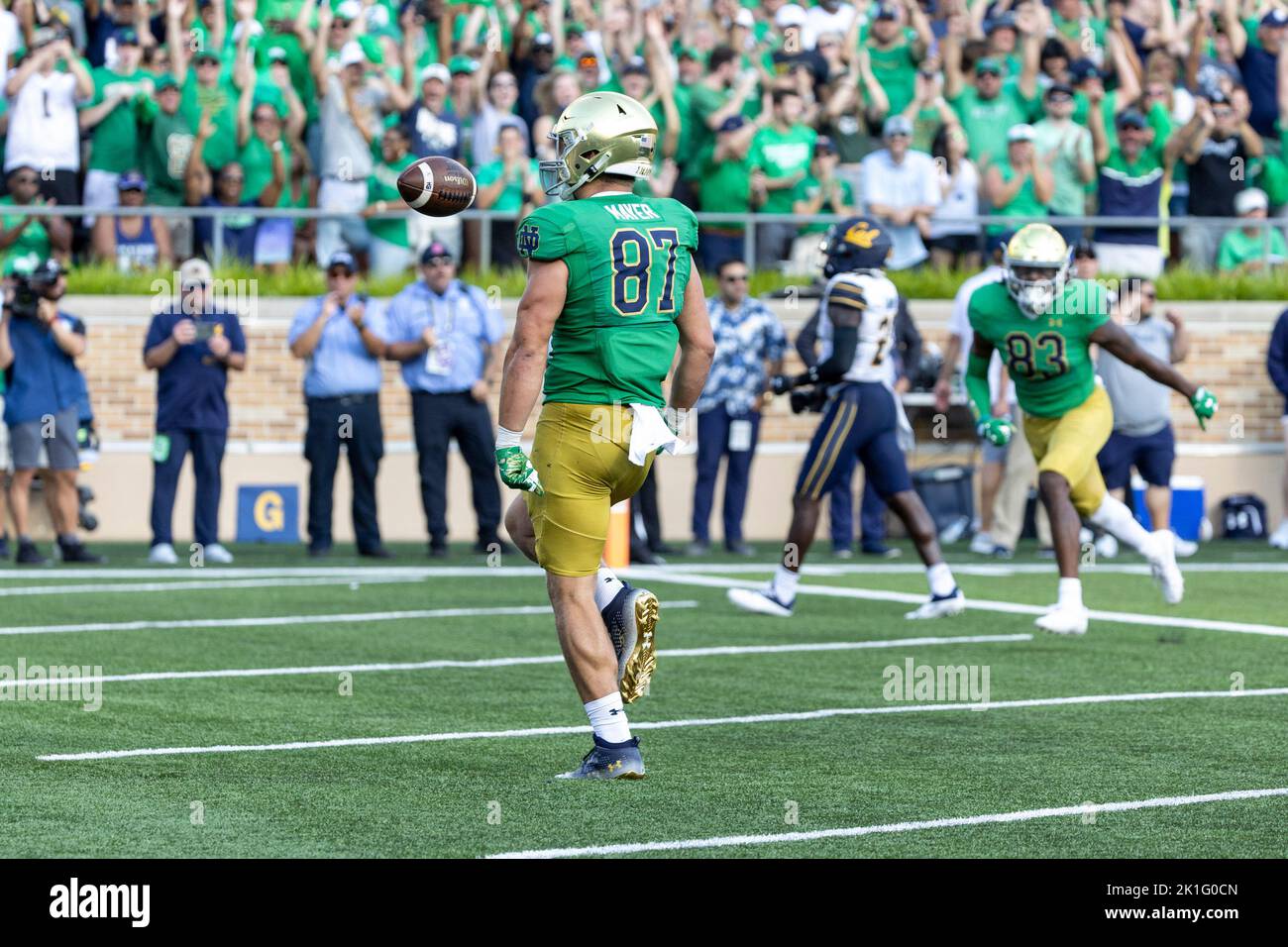 17. September 2022: Notre Dame Tight End Michael Mayer (87) feiert Touchdown-Catch während der NCAA-Fußballspiel-Action zwischen den California Golden Bears und der Notre Dame Fighting Irish im Notre Dame Stadium in South Bend, Indiana. Notre Dame besiegte Kalifornien 24-17. John Mersits/CSM. Stockfoto