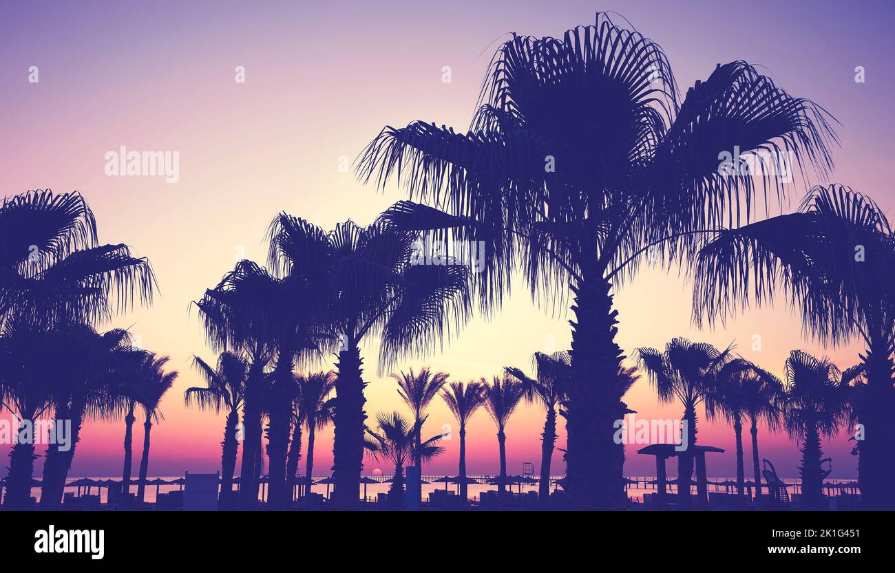 Silhouetten von Palmen an einem Strand bei Sonnenaufgang, Farbtonung angewendet, Ägypten. Stockfoto