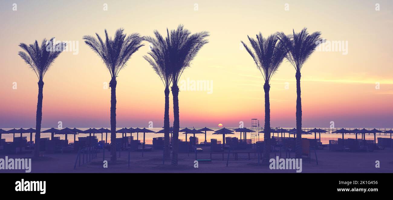 Silhouetten von Palmen an einem Strand bei Sonnenaufgang, Farbtonung angewendet, Ägypten. Stockfoto