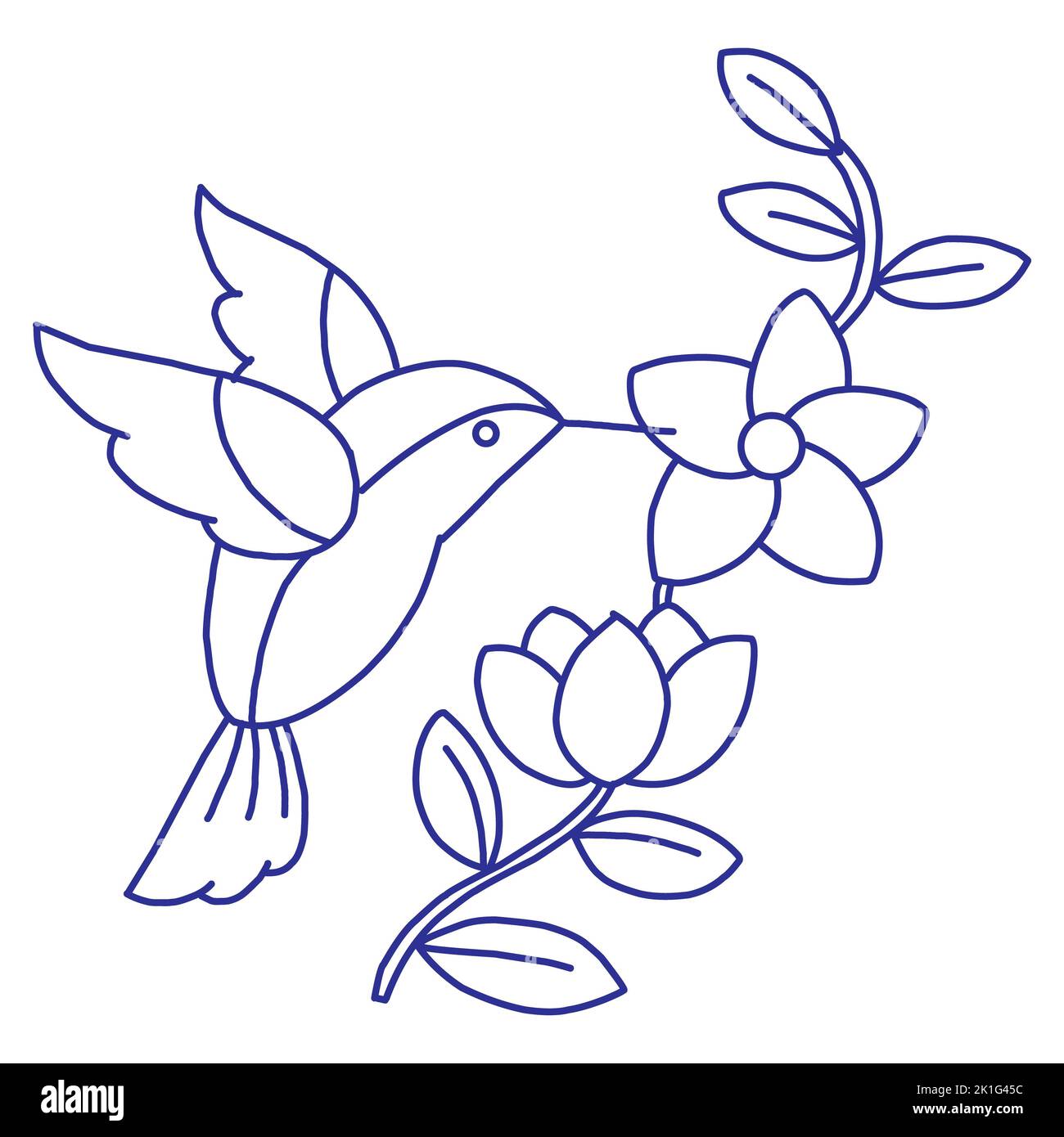 Kolibri fliegt und pickt Blütennektar mit Schnabel. Kleiner exotischer Brummvogelchen. Realistische Zeichnung des tropischen Hawaii gefiederten Tieres. Handgezeichnetes V Stockfoto
