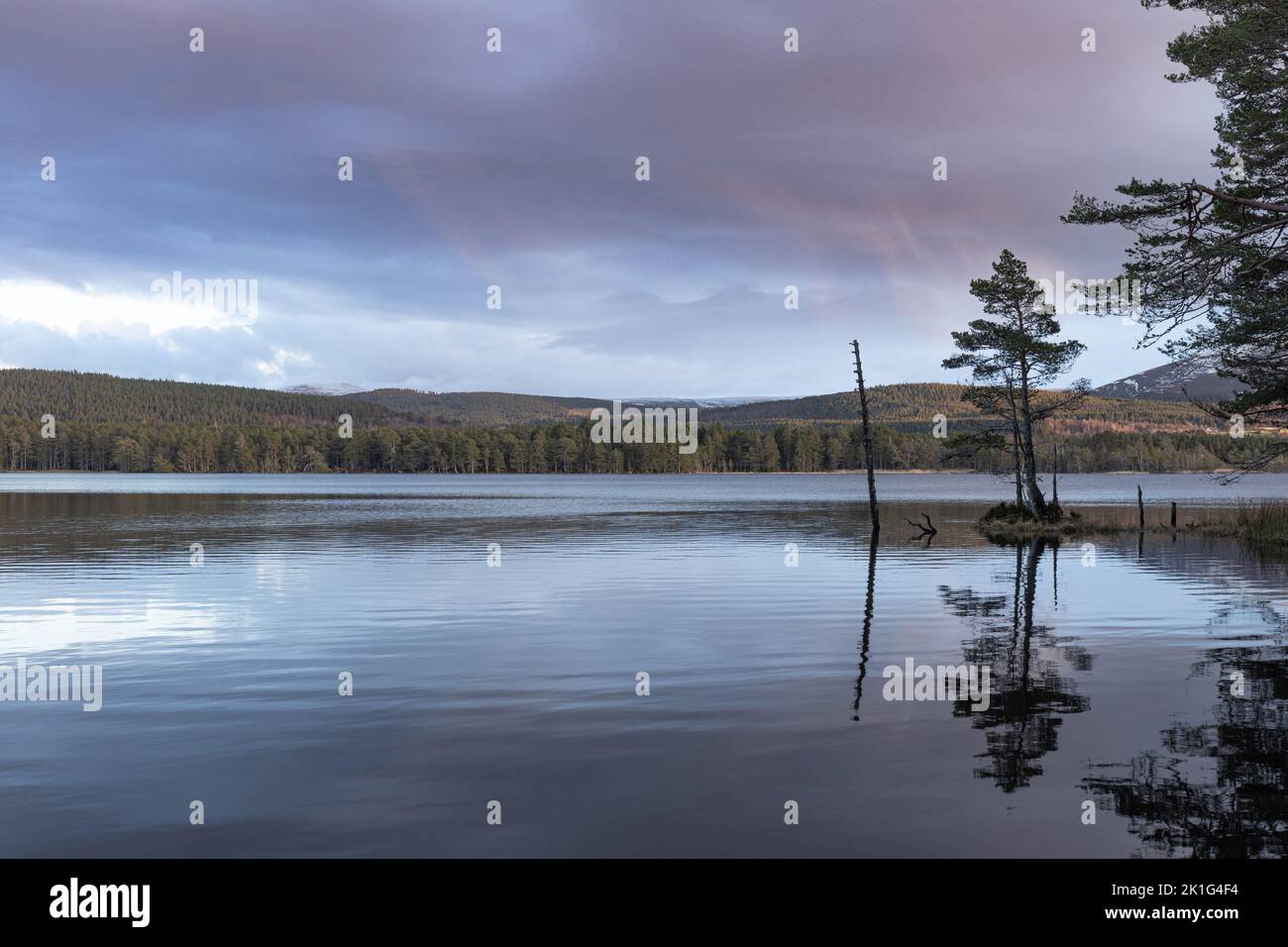 Loch Garten im Cairngorms National Park. Stockfoto