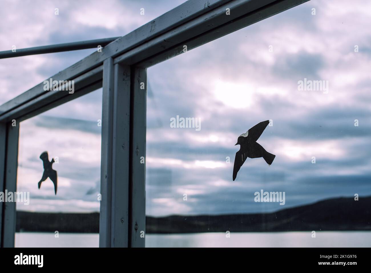Aufkleber mit Anti-Vogel-Kollision auf dem Fensterglas. Dunkle Berge, wolkige Himmel und grauer See im Hintergrund Stockfoto