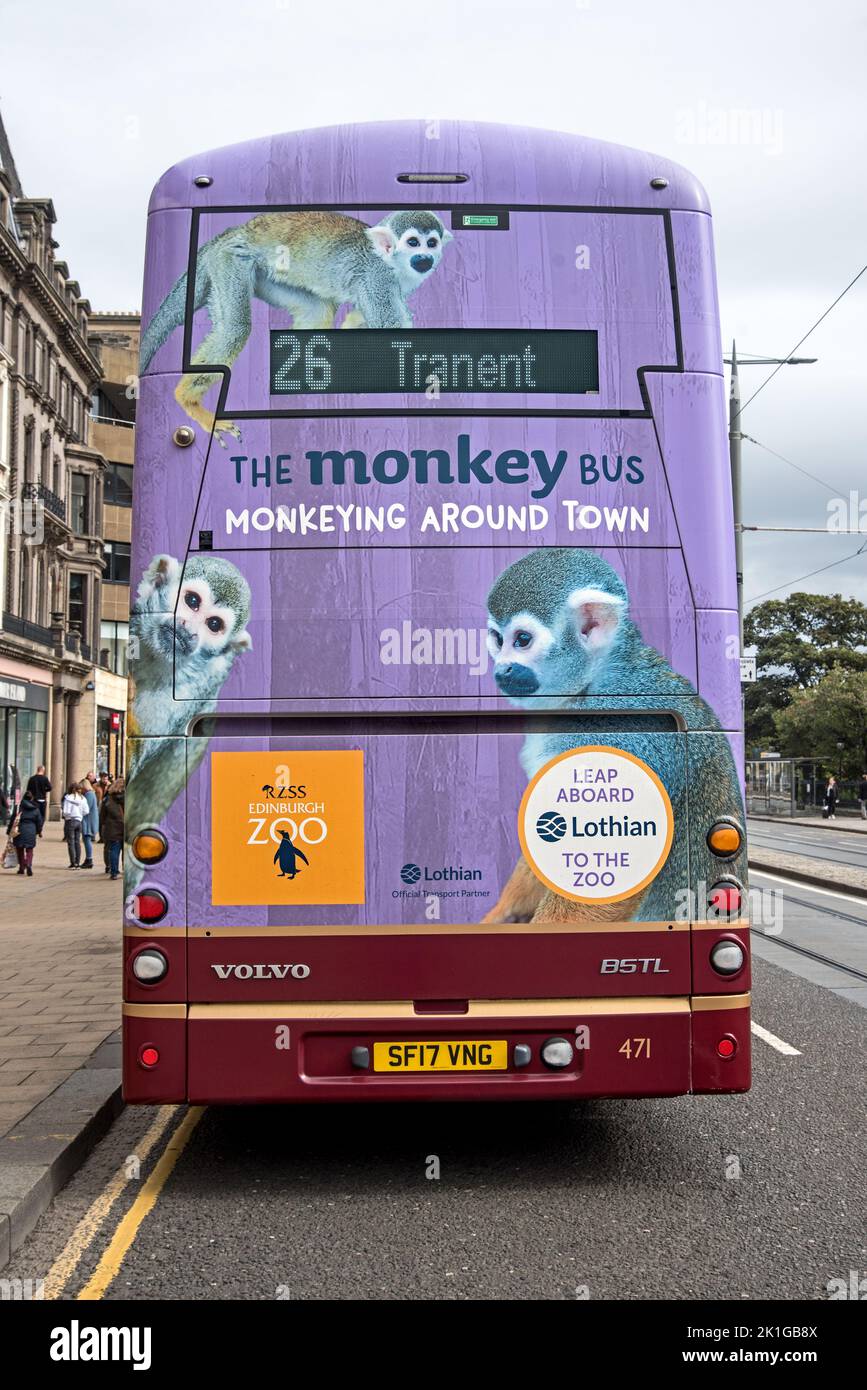 The Monkey Bus, Edinburgh Zoo Werbespot mit Affen auf der Rückseite eines Lothian-Busses auf der Princes Street, Edinburgh, Schottland, Großbritannien. Stockfoto