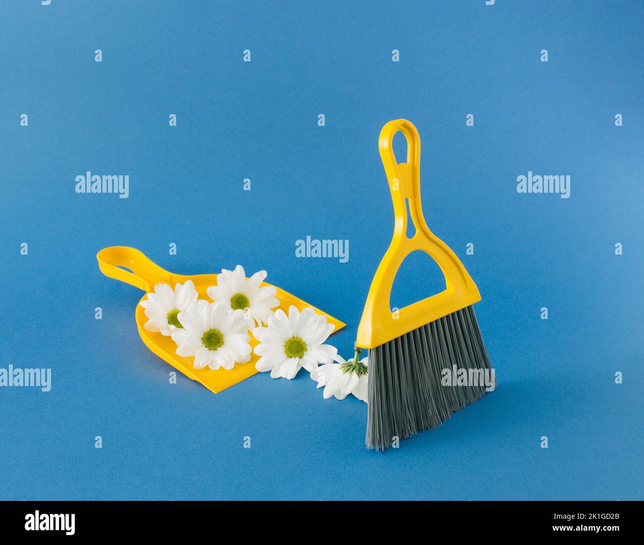 Gelbe Kehrschaufel und Pinsel mit weißen marguerite-Gänseblümchen auf blauem Hintergrund. Stockfoto
