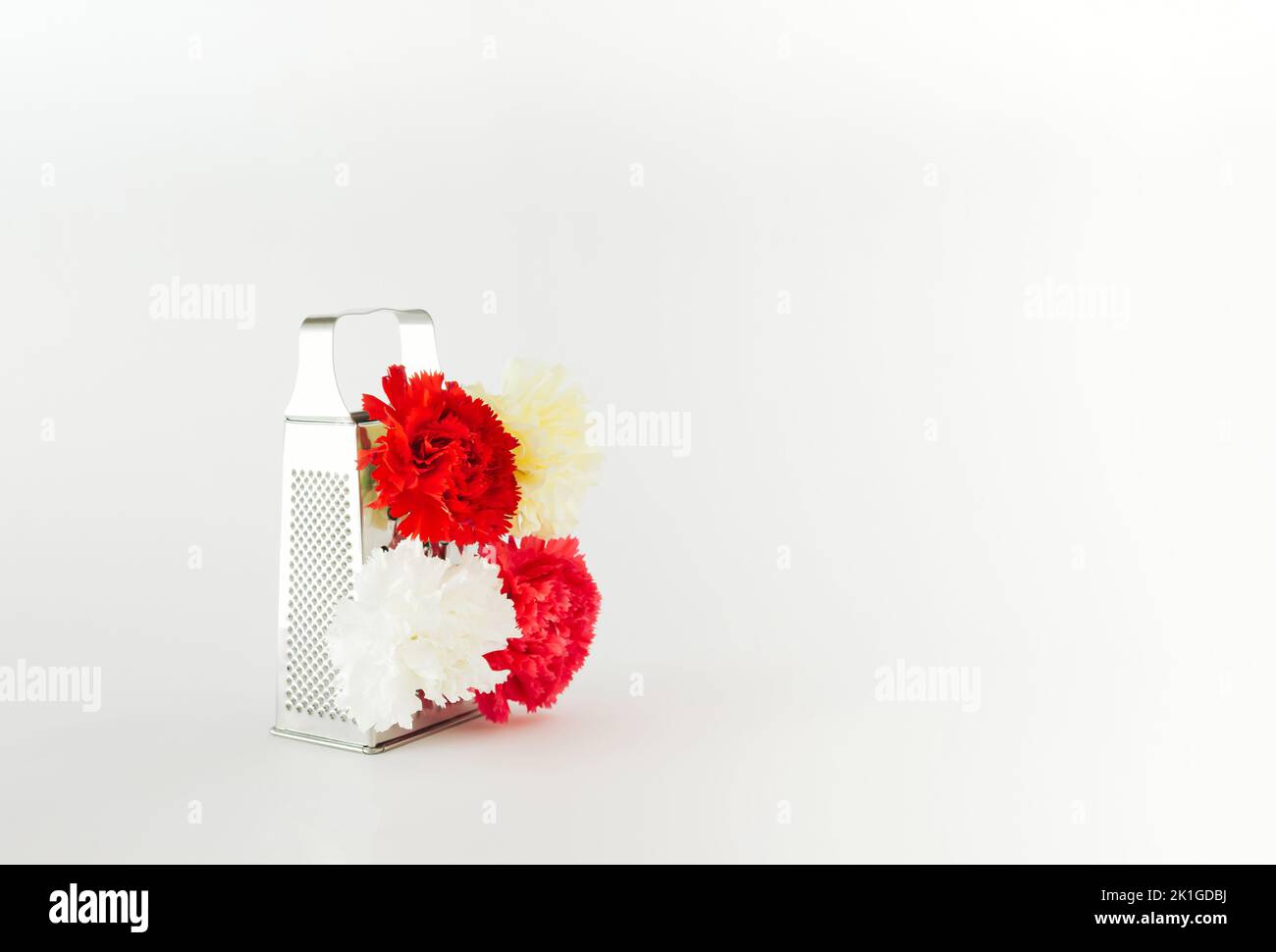 Weiße, gelbe, rosa und rote Nelkenblüten auf Stahlreibe, aufrecht auf weißem Hintergrund. Stockfoto