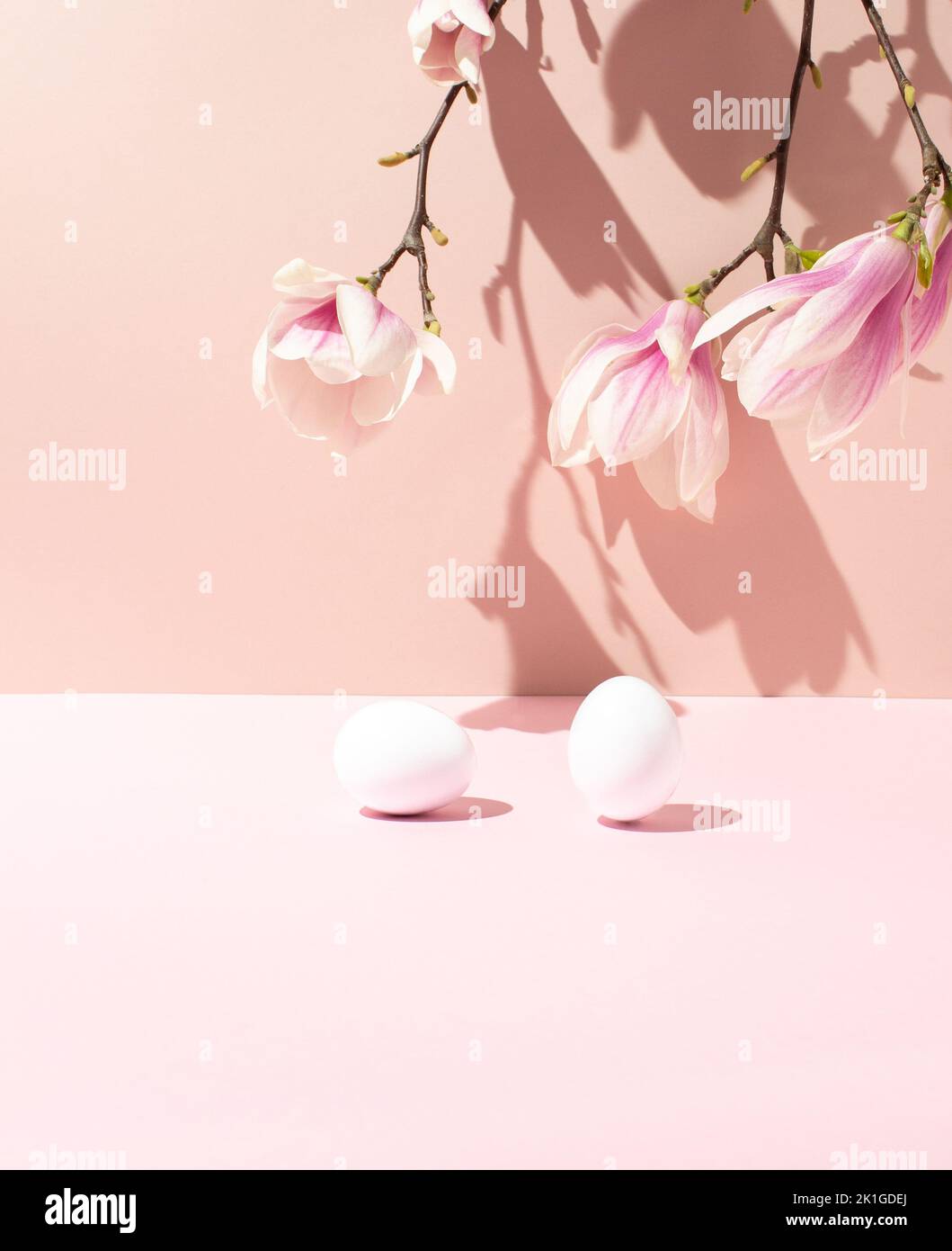 Osterhintergrund mit zwei weißen Eiern auf rosa Hintergrund mit Zweig der Magnolienblüten. Stockfoto
