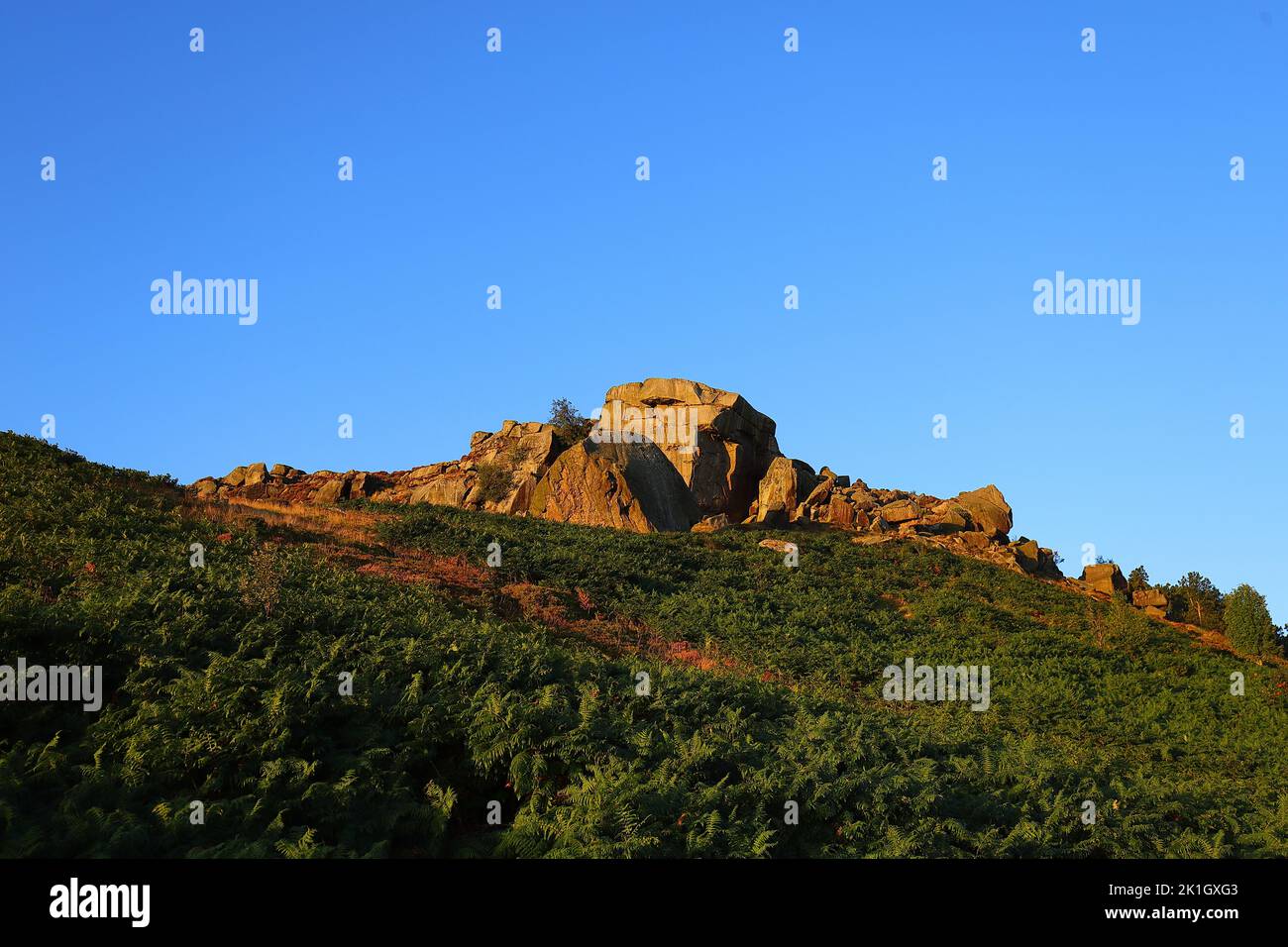 Cow & Calf Rocks auf Ilkley Moor in West Yorkshire Stockfoto