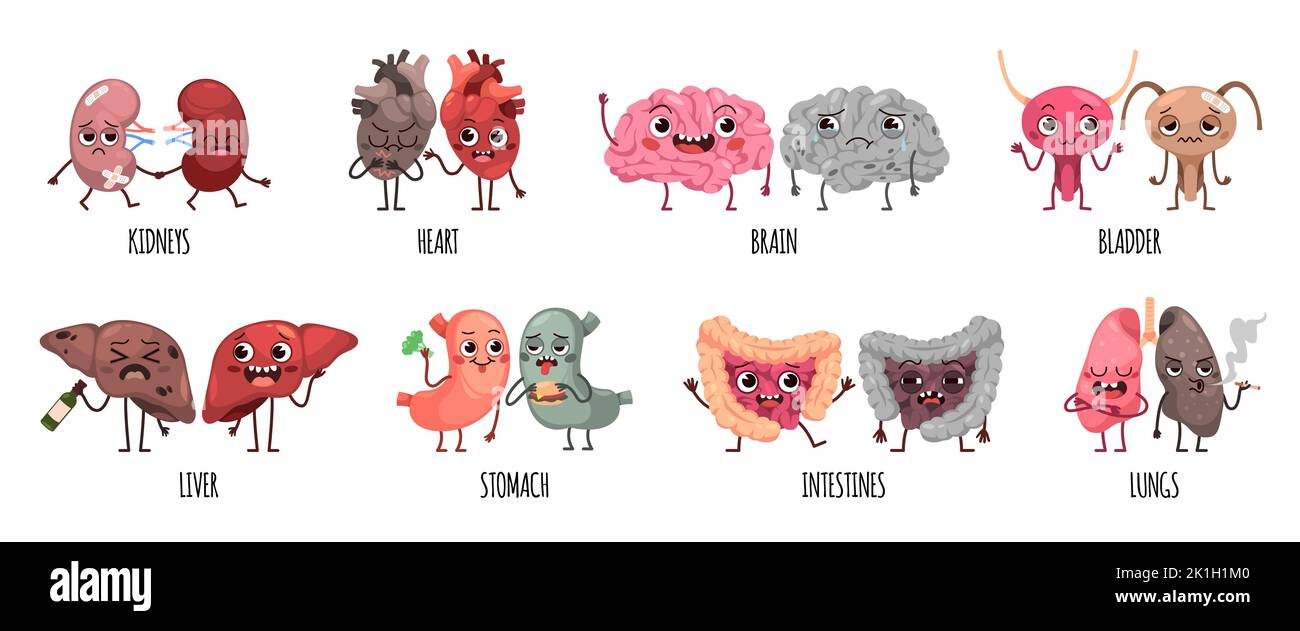 Cartoon ungesunde und gesunde Organe Paare. Niedliche Charaktere mit Gesichtern, geschädigter Lunge, Magen und Blase, Lungen und Gehirn, Leber und Herz Stock Vektor