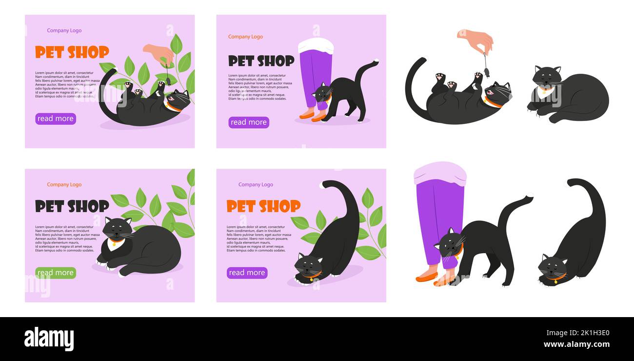 Bannerset für Tierhandlung. Schwarze Katze mit Kragen. Vektorgrafik im flachen Stil. Stock Vektor