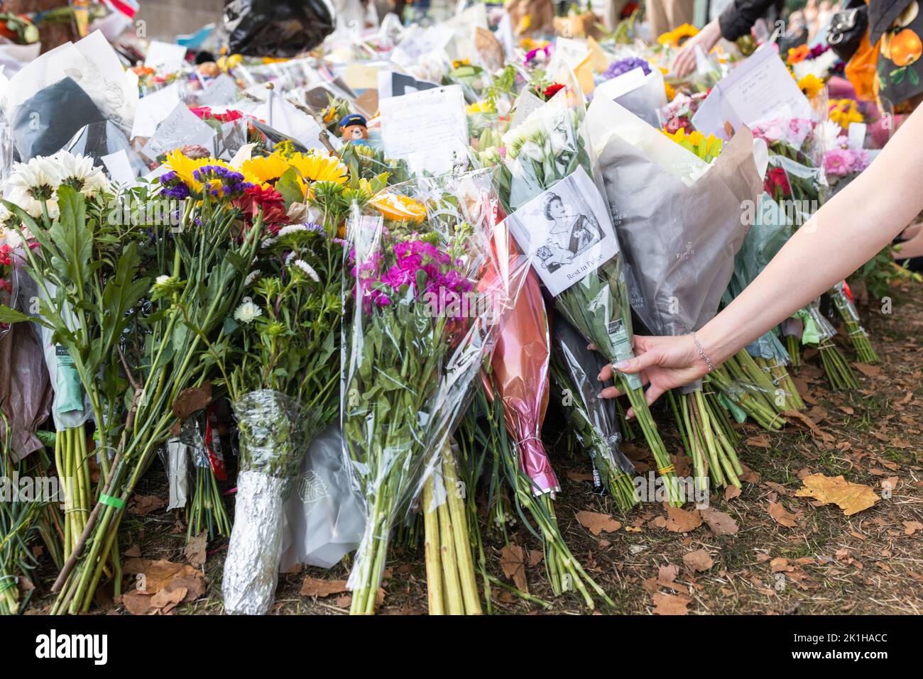 London, Großbritannien - 11 2022. September: Blumen werden vor dem Buckingham Palace zur Ankündigung des Todes von Königin Elizabeth II. Gelegt Stockfoto