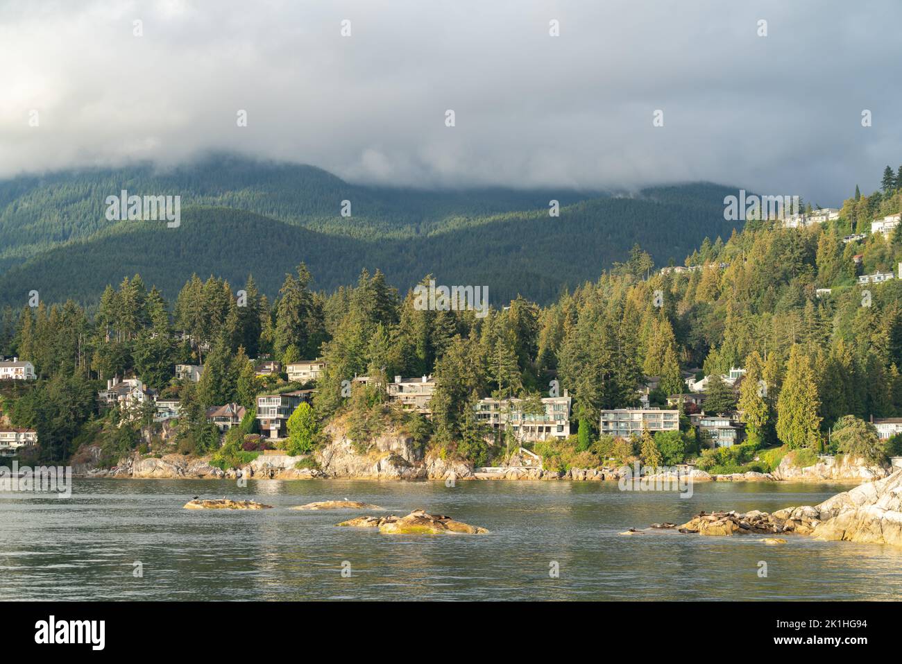 Seehunde ruhen auf felsigen Inseln im Eagle Harbour, West Vancouver, British Columbia, Kanada Stockfoto