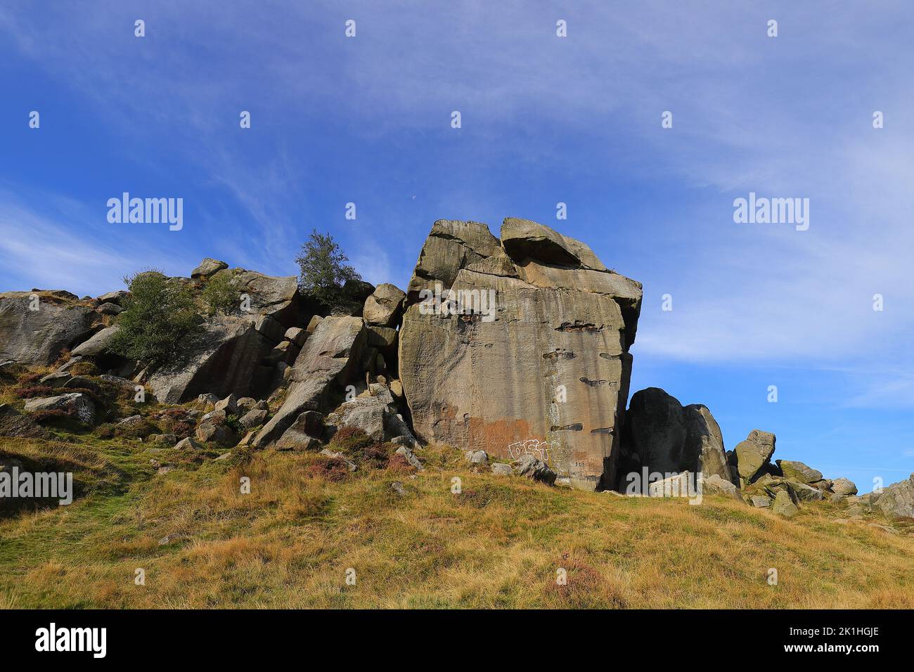 Cow & Calf Rocks auf Ilkley Moor in West Yorkshire Stockfoto