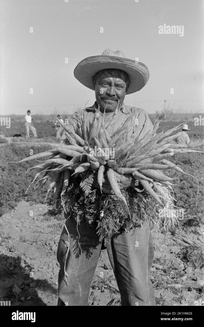 Mexikanischer Landarbeiter hält ein paar Karotten hoch. Edinburg, Texas, USA 1939 Stockfoto