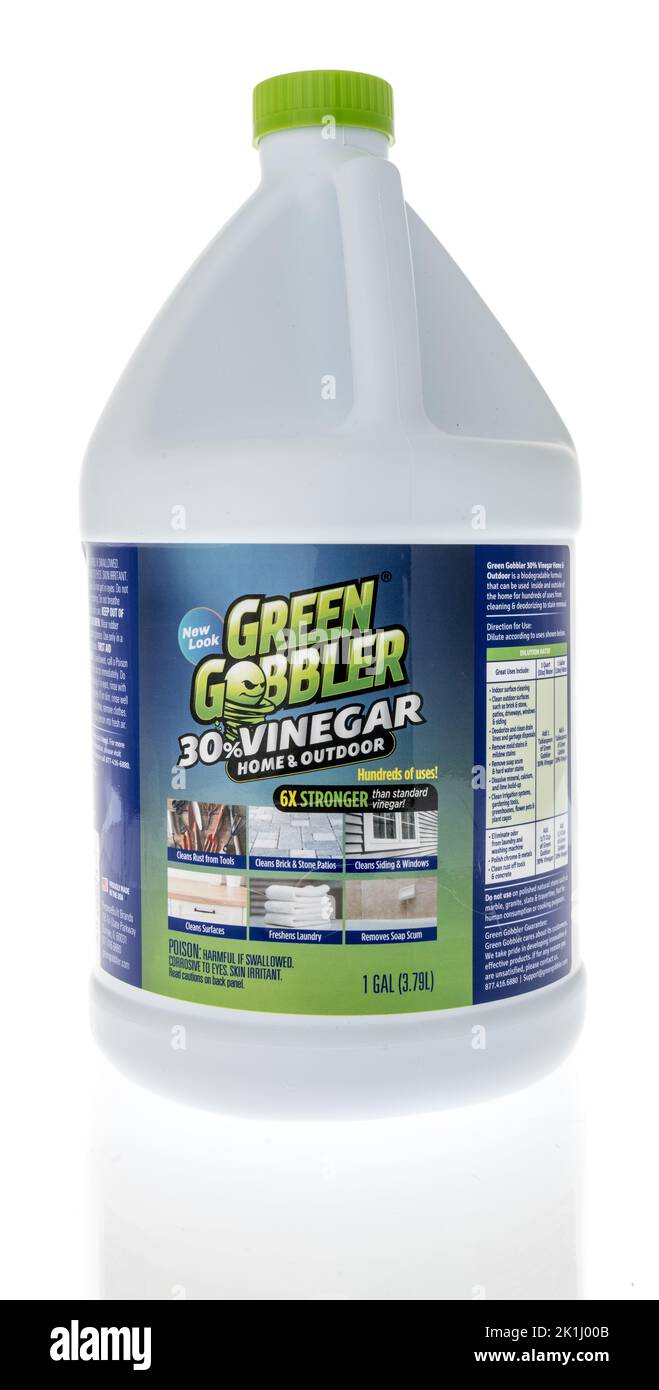 Winneconne, WI - 6. August 2022: Eine Flasche grünen Essig auf einem isolierten Hintergrund. Stockfoto