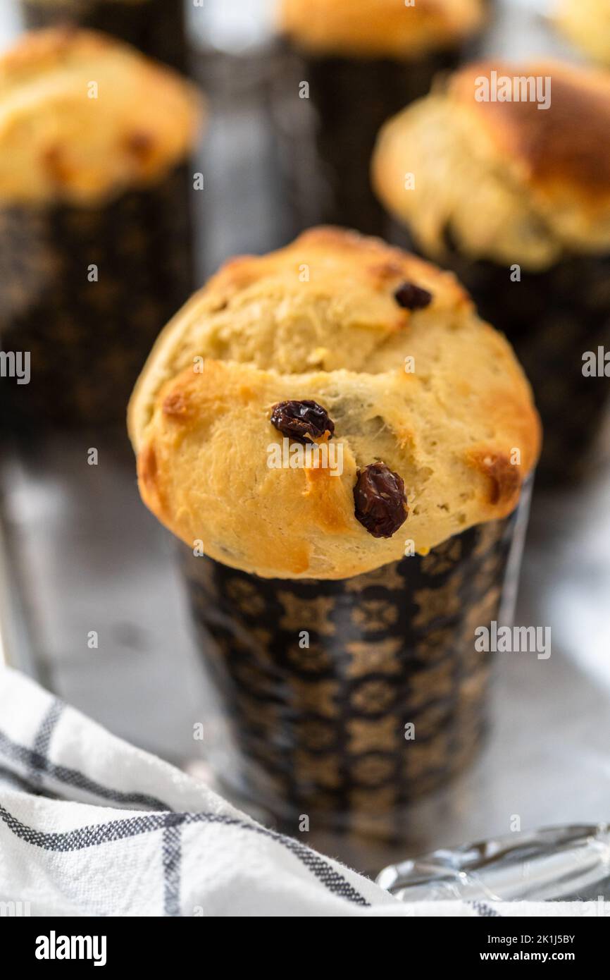 Mini-Osterbrot Kulich Stockfoto