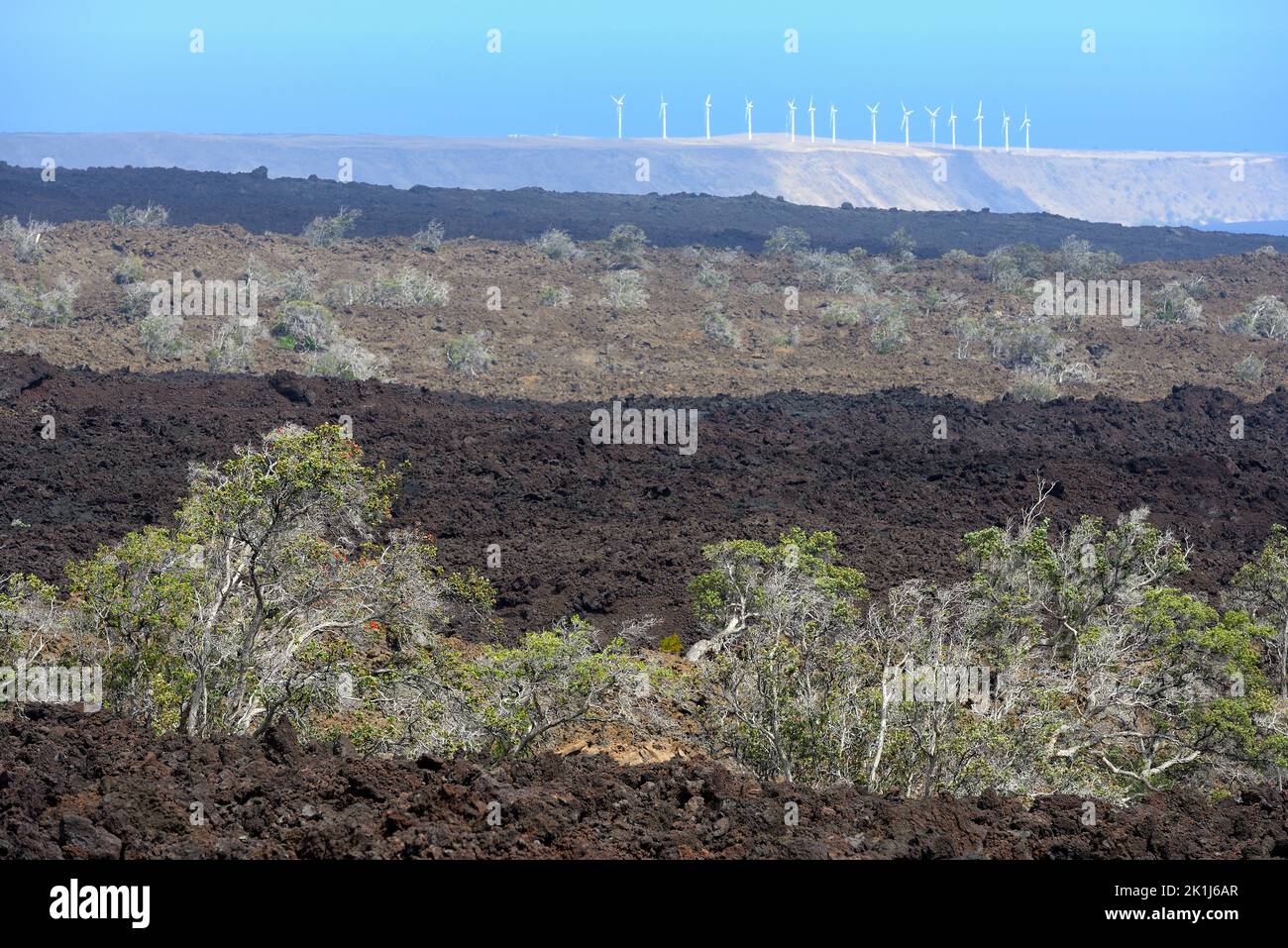 Landschaftliche Eindrücke von der magischen Landschaft und Küste entlang der Gürtelstraße, Big Island HI Stockfoto