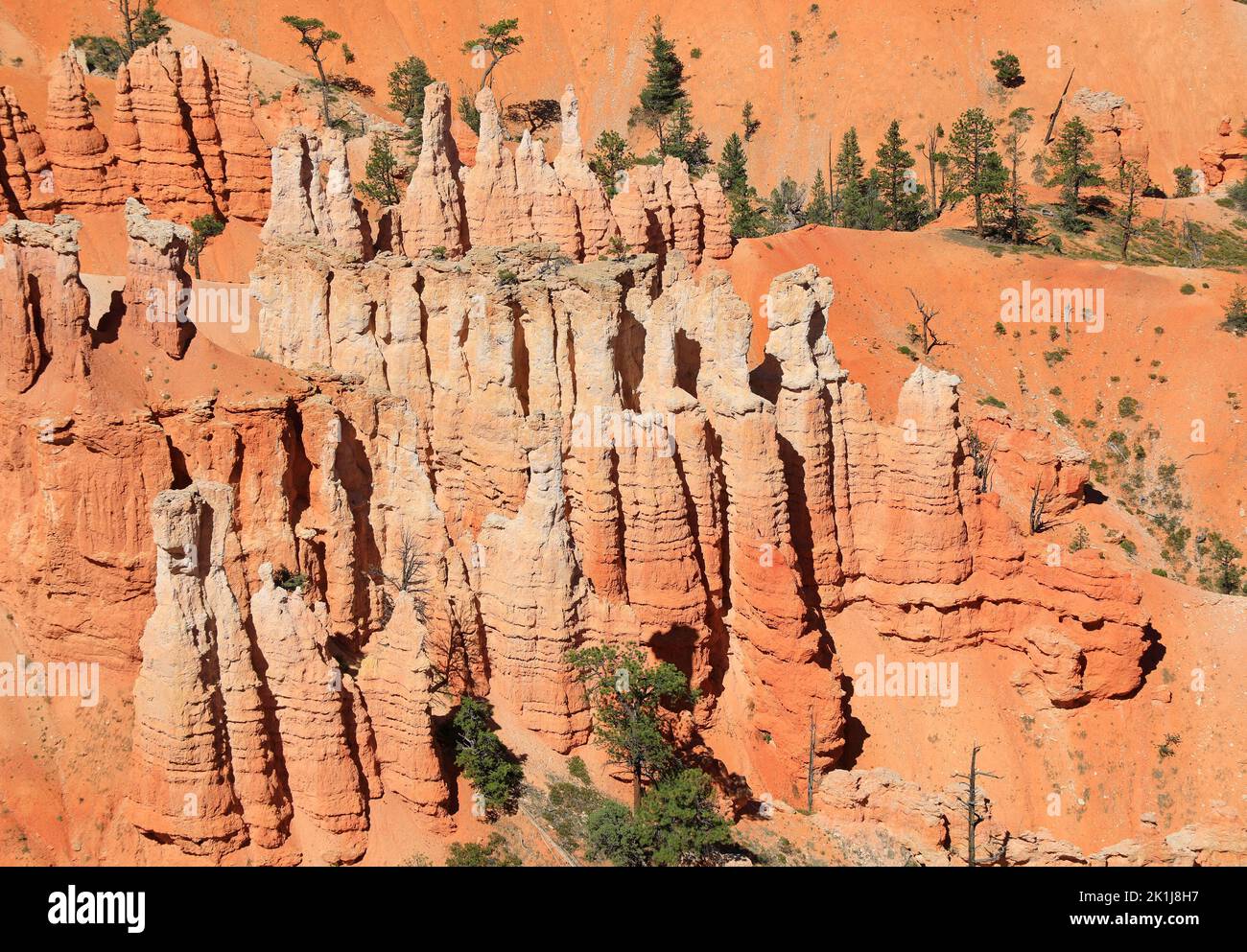 Nahaufnahme der Landschaft des Bryce Canyon in Utah, USA Stockfoto