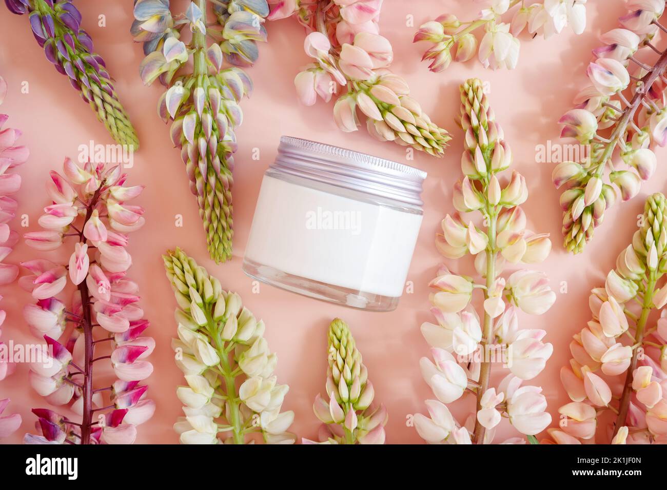 Feuchtigkeitsspendende Creme im Glas mit Schraubverschluss aus Metall und rosa Lupinenblüten viel auf rosa Hintergrund. Modell, Vorderansicht von oben. Kosmetische Feuchtigkeitscreme bo Stockfoto