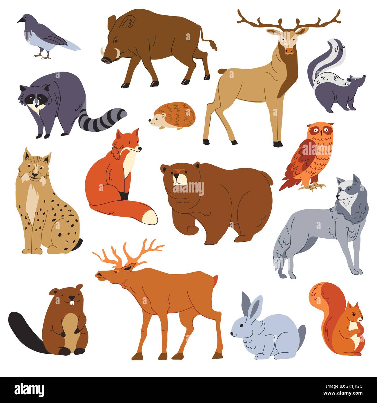 Waldtiere, Waschbär und Fuchs, Bär und Hirsch Stock Vektor