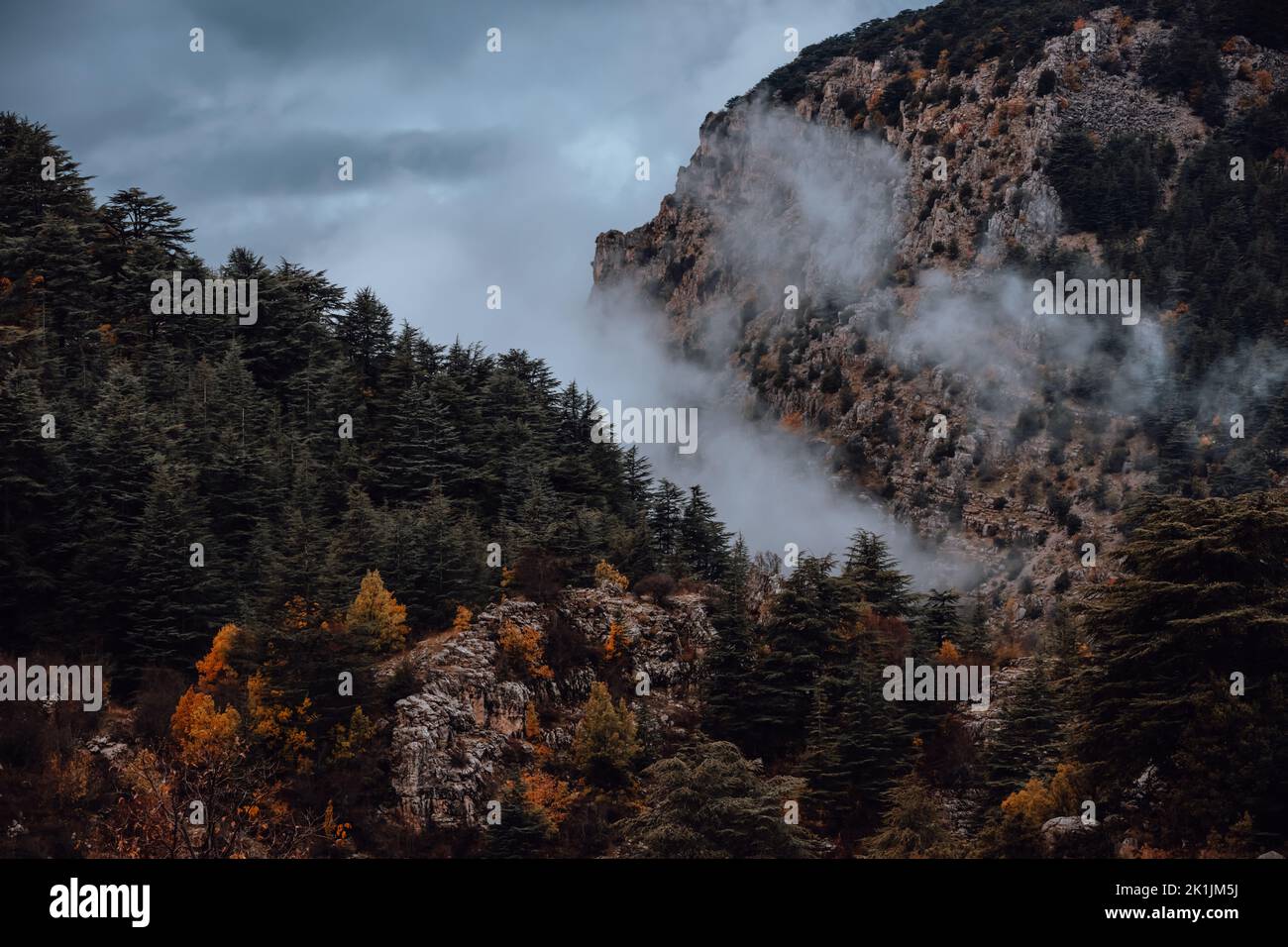 Berge bedeckt von Nebel Stockfoto