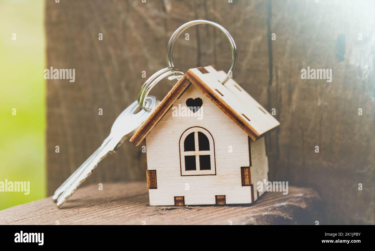 Home.Bau von Holzhäusern. Umweltfreundliche Baustoffe. Stockfoto