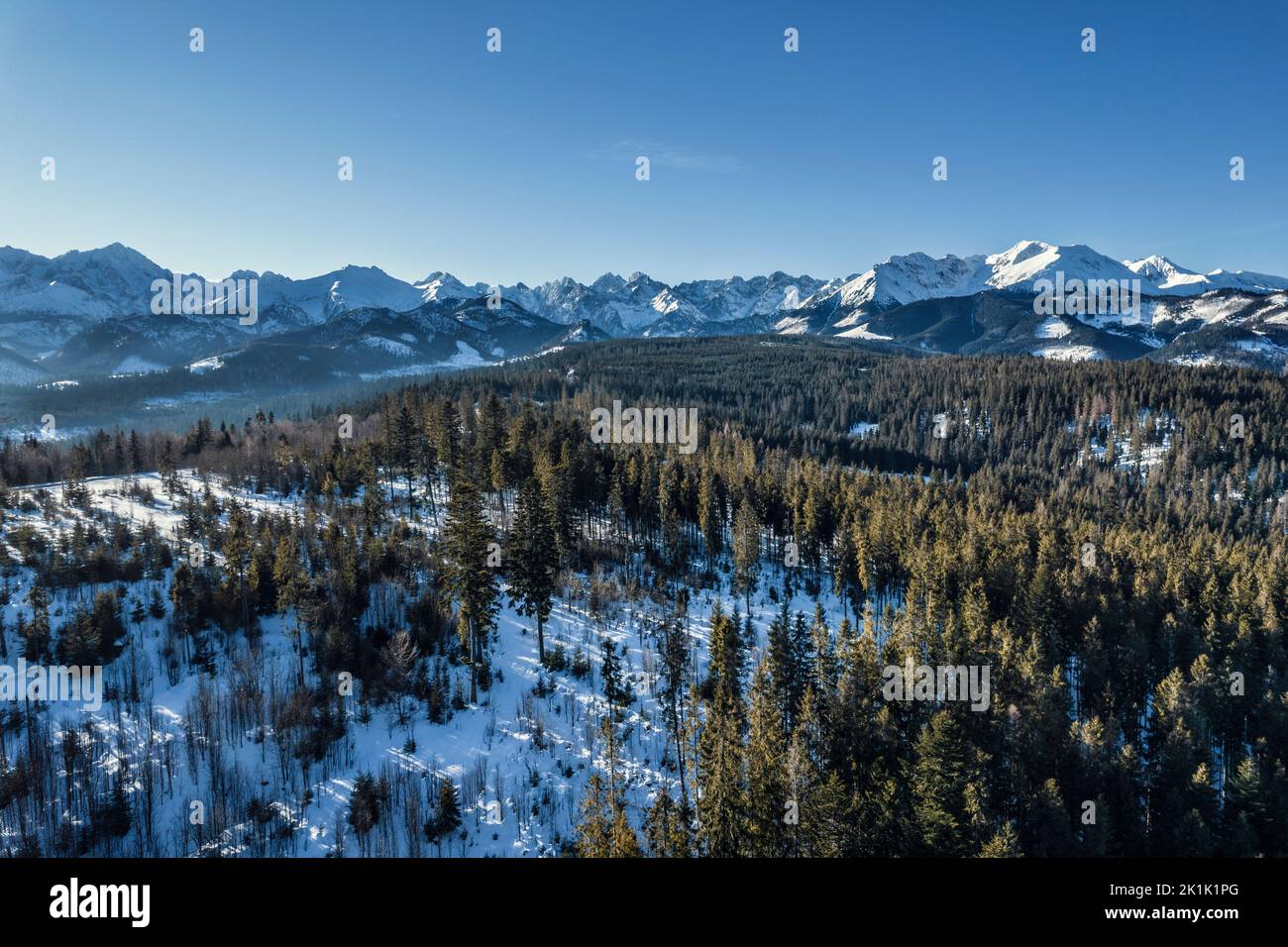 Panorama der polnischen Tatra Stockfoto