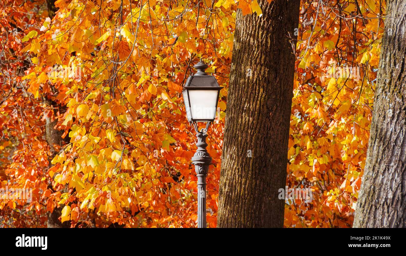 Herbst und Laub im Park. Vintage Straßenlampe zwischen herbstlichen Blättern Stockfoto