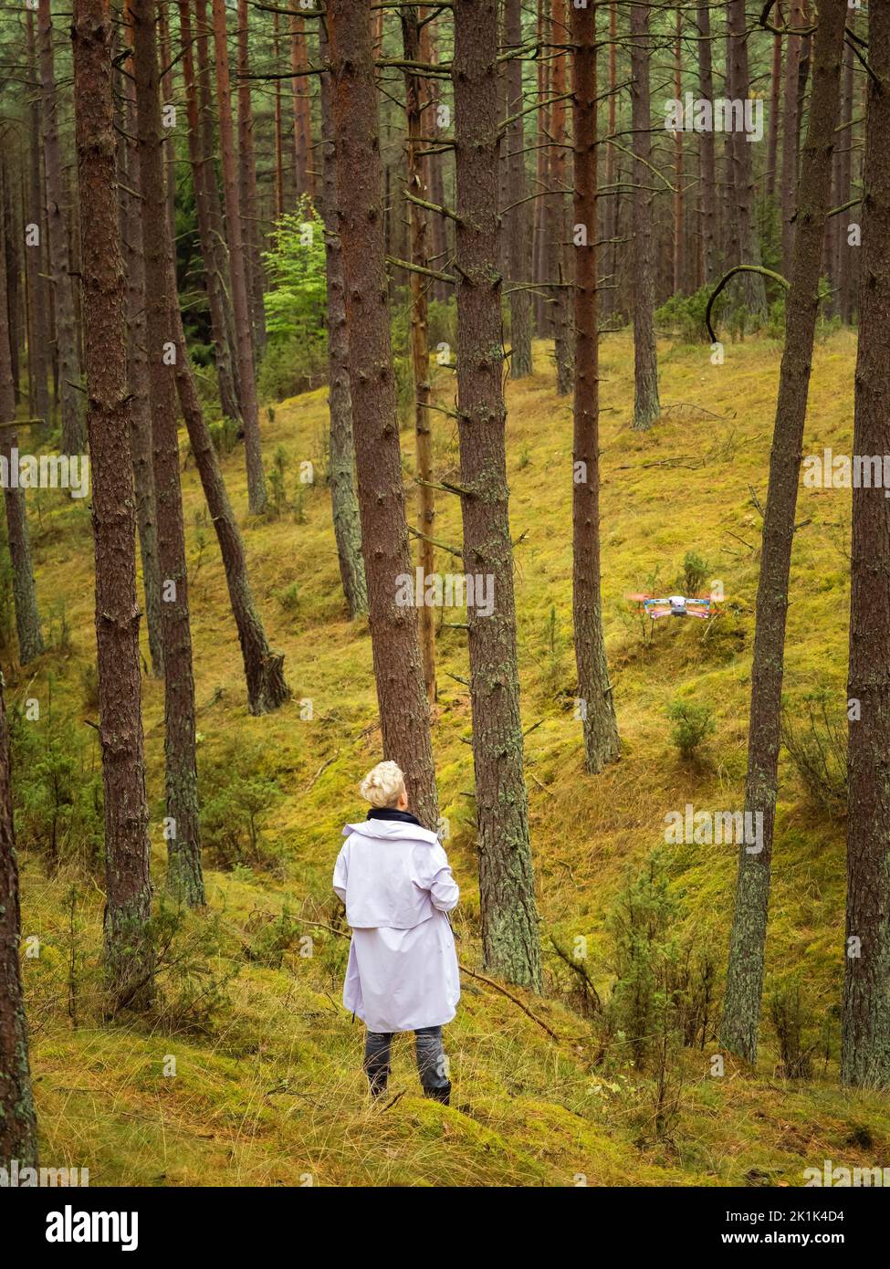 Eine Person, die eine Drohne in einem tiefen Kiefernwald zwischen Baumstämmen in einer Schlucht startet Stockfoto