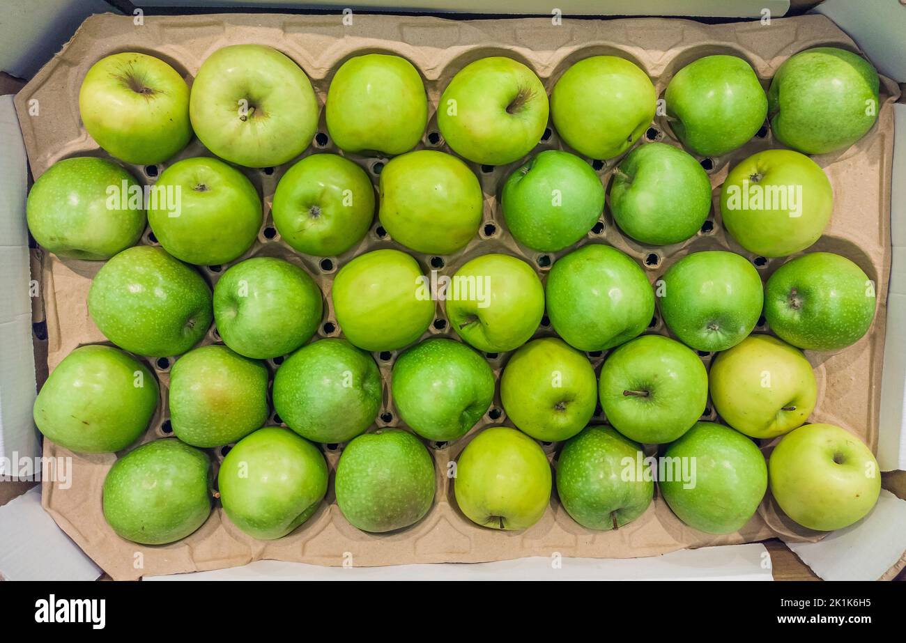 Viele grüne Äpfel liegen auf der Theke des Marktes. Offene Regale, Vitrinen. Gesunde Bio-Lebensmittel, Herbsternte Stockfoto
