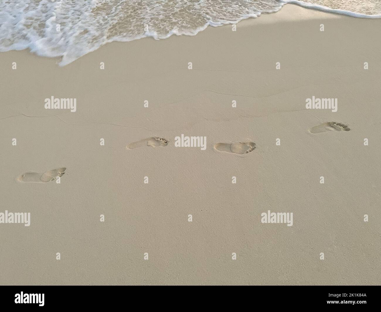 Menschliche Fußabdrücke auf dem nassen Sand eines tropischen Strandes. Stockfoto