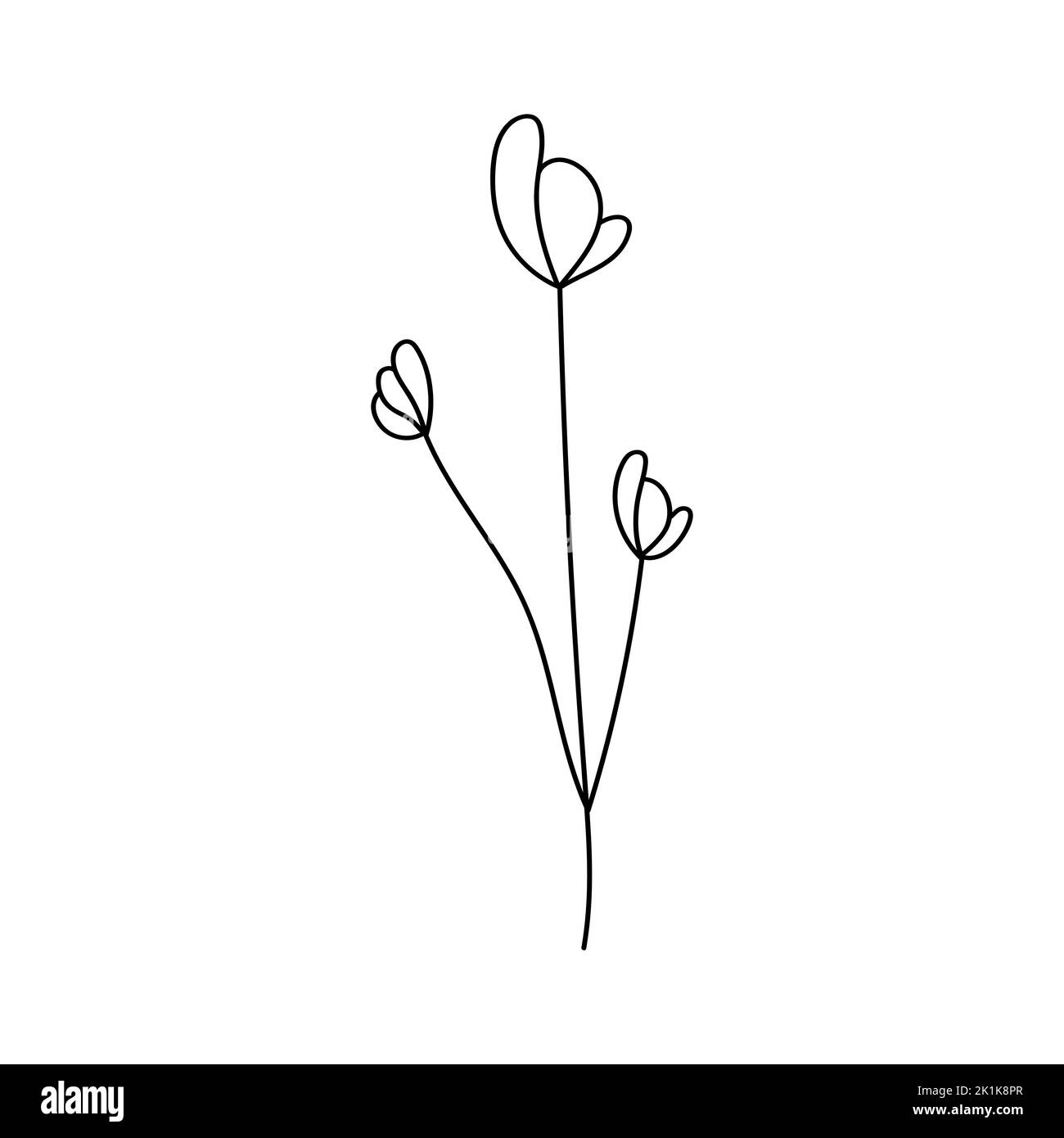 Illustration einer Blume, Silhouette eines Zweiges mit Blumen und Blättern. Vektorgrafik. Blumendruck Stock Vektor