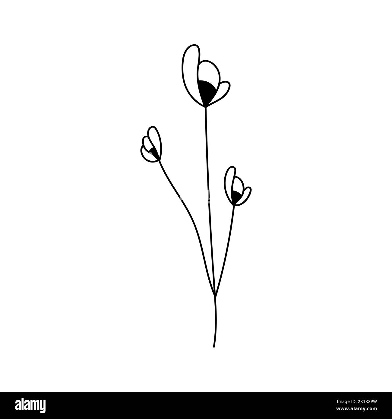 Illustration einer Blume, Silhouette eines Zweiges mit Blumen und Blättern. Vektorgrafik. Blumendruck Stock Vektor