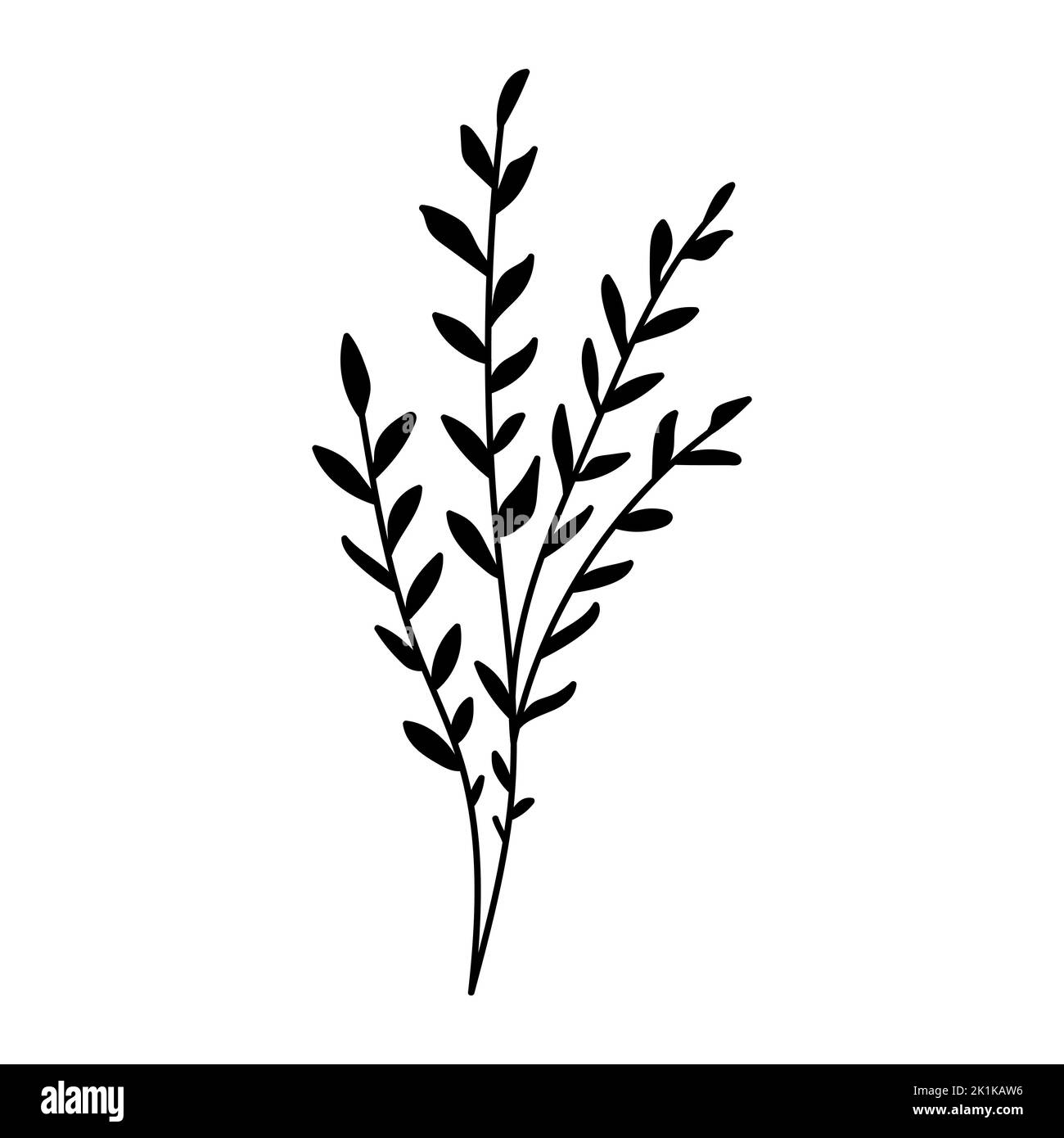 Illustration einer Blume, Silhouette eines Zweiges mit Blumen und Blättern. Vektorgrafik. Blumendruck. Stock Vektor