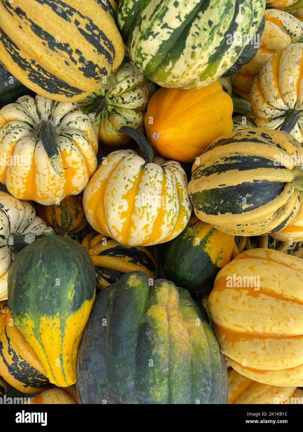 Nahaufnahme eines Stapels verschiedener Kürbisse im Herbst, Dänemark Stockfoto