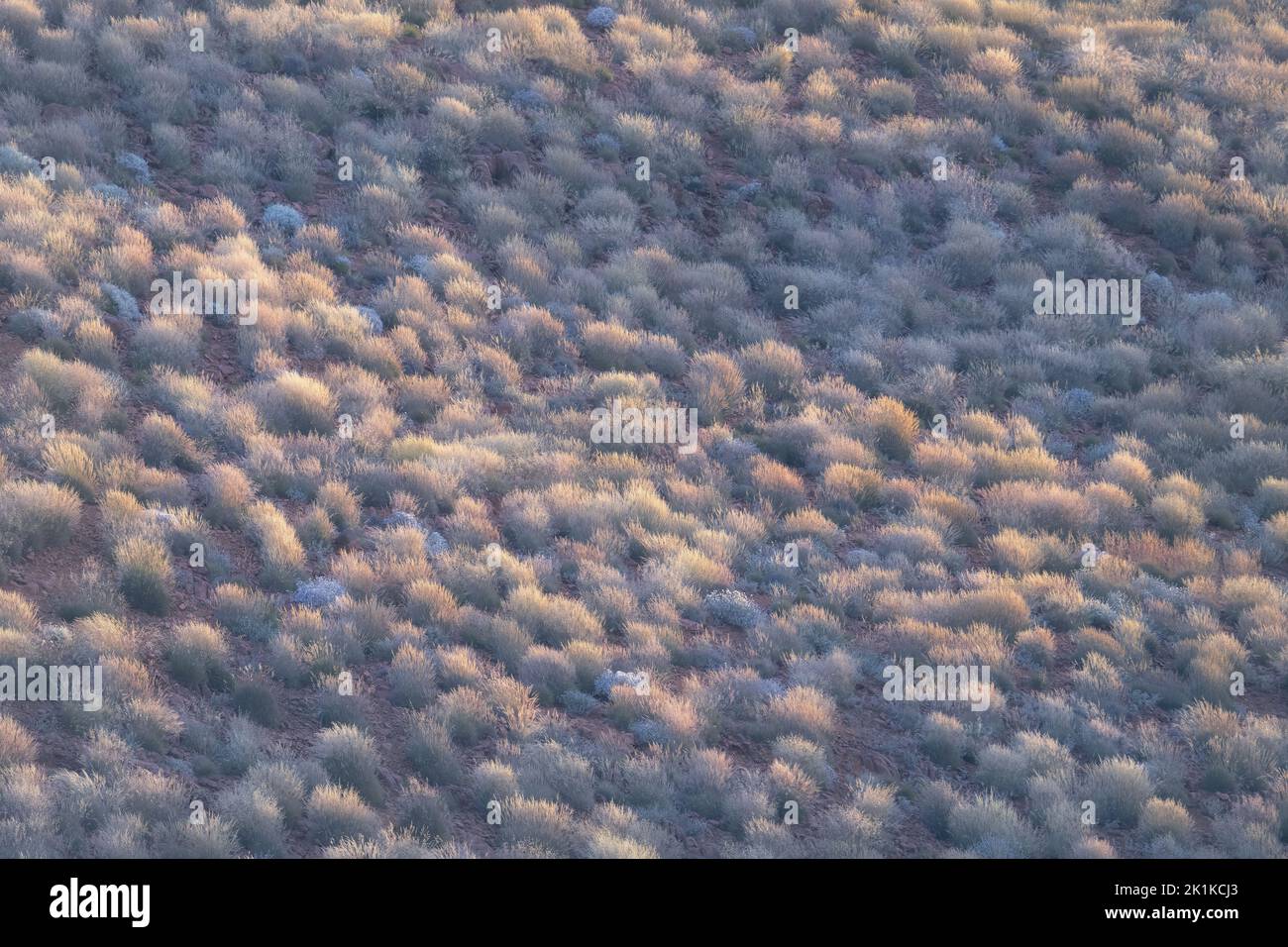 Luftaufnahme eines mit Spinifex bedeckten felsigen Hügels in ländlicher Landschaft, Australien Stockfoto