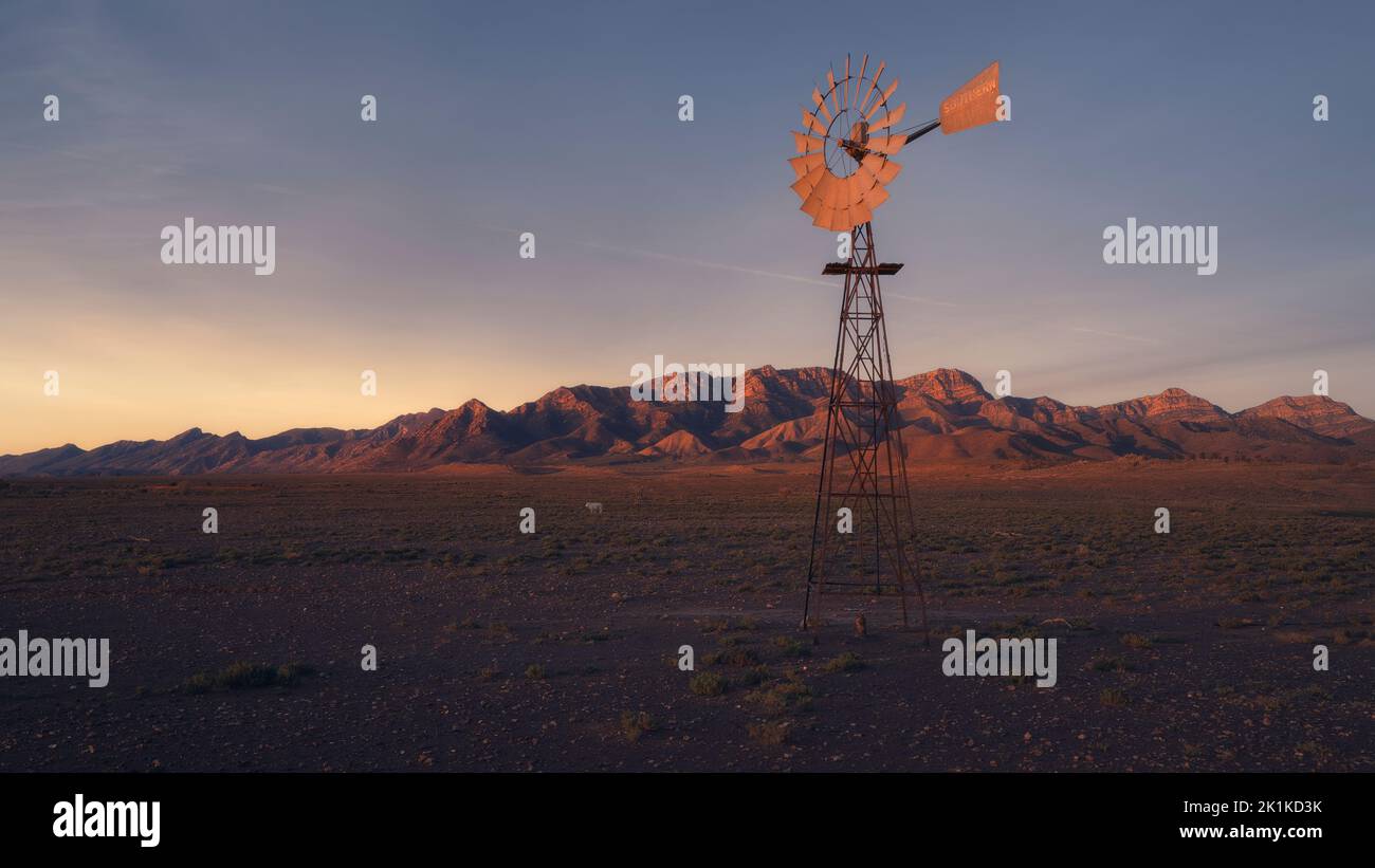 Windmühle pumpt Wasser in der ländlichen Outback-Landschaft, Australien Stockfoto