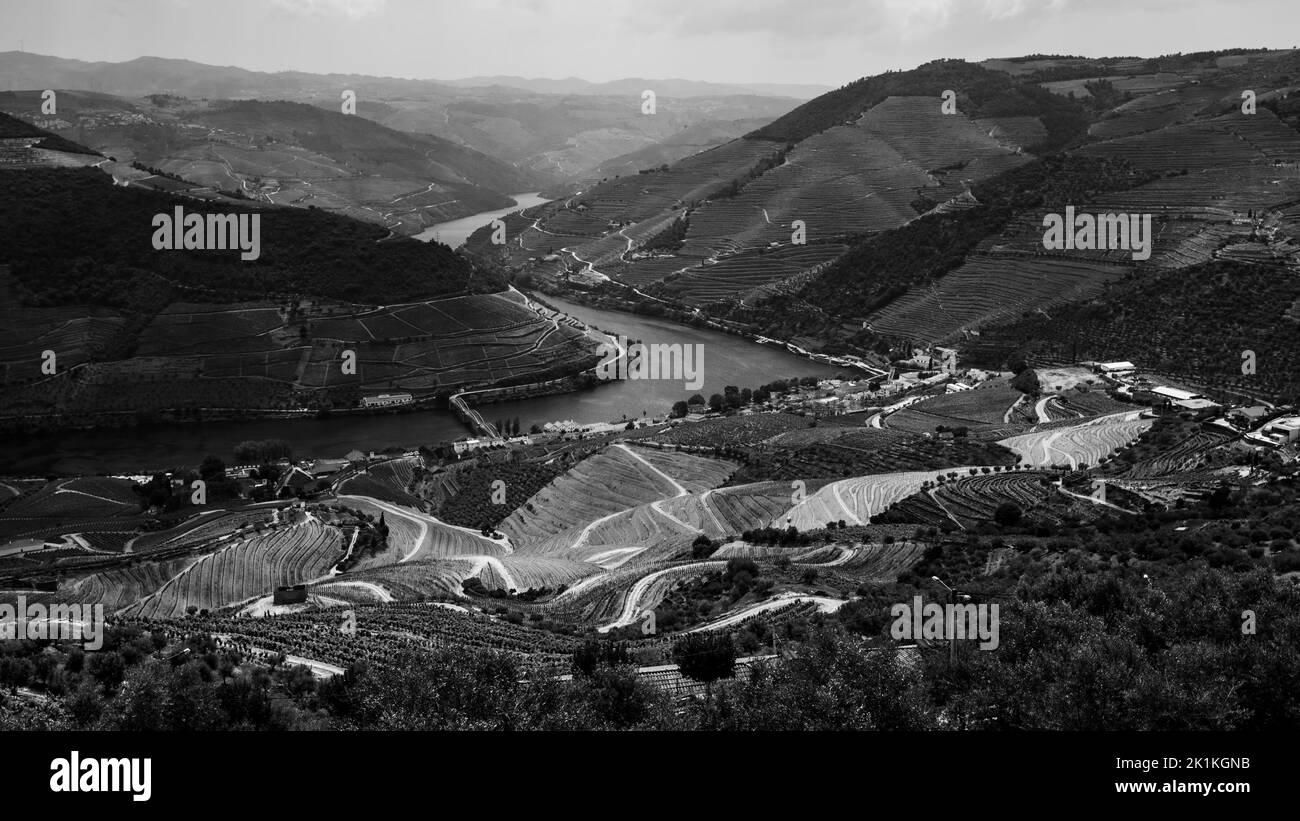 Blick auf die Weinberge auf den Hügeln Douro Valley, Porto, Portugal. Schwarzweiß-Foto. Stockfoto