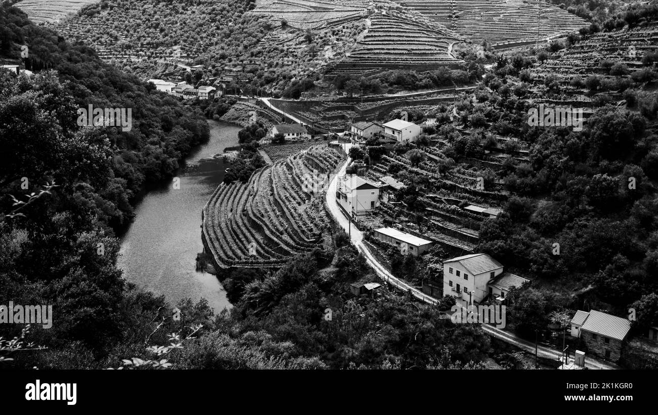 Blick von oben auf den Fluss und die Weinberge sind auf einem Hügel Douro Valley, Portugal. Schwarzweiß-Foto. Stockfoto