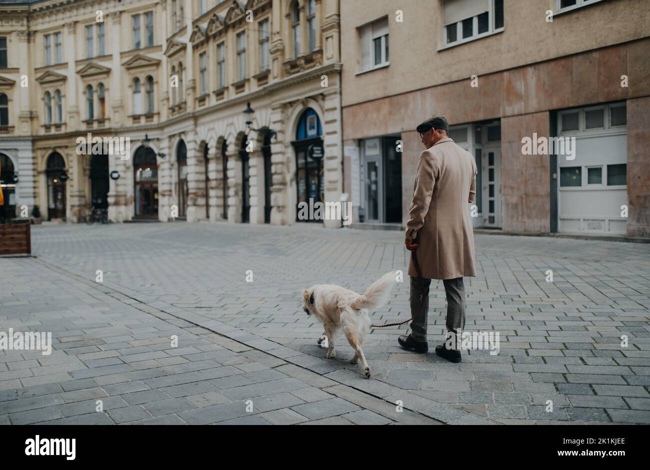 Seitenansicht eines eleganten älteren Mannes mit Kaffee zum Mitnehmen, der im Winter mit seinem Hund in der Stadt unterwegs ist. Stockfoto