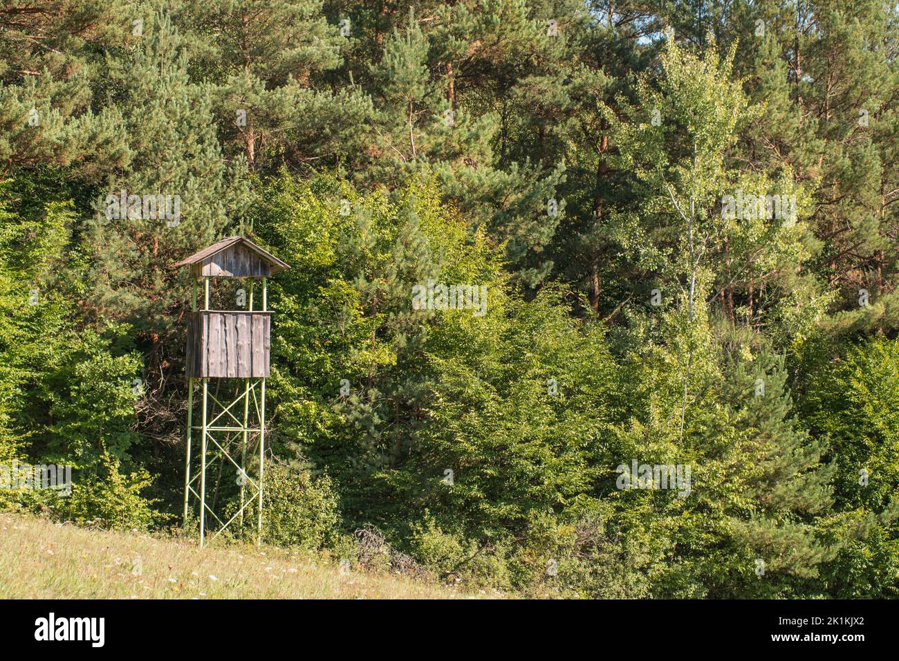 Jagdhütte für Jäger. Versteck zum Jagen und Beobachten der wilden Tiere. Beobachtungsplatz im Wald. Stockfoto