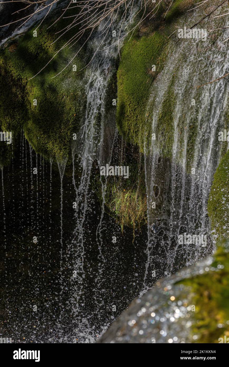 Wasserfall fällt über moosige Steine in der Schlucht. Ordesa, Pyrenäen. Stockfoto