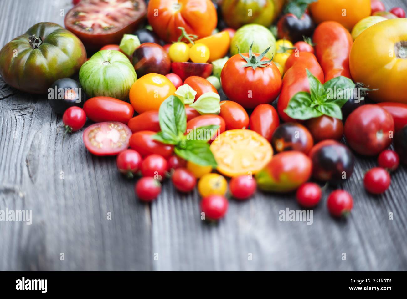 Verschiedene Sorten von roten, gelben, grünen und schwarzen Tomaten mischen sich auf einem Holztisch. Frisch sortiert bunte Sommer Tomaten Hintergrund, Nahaufnahme. Food-Fotografie Stockfoto