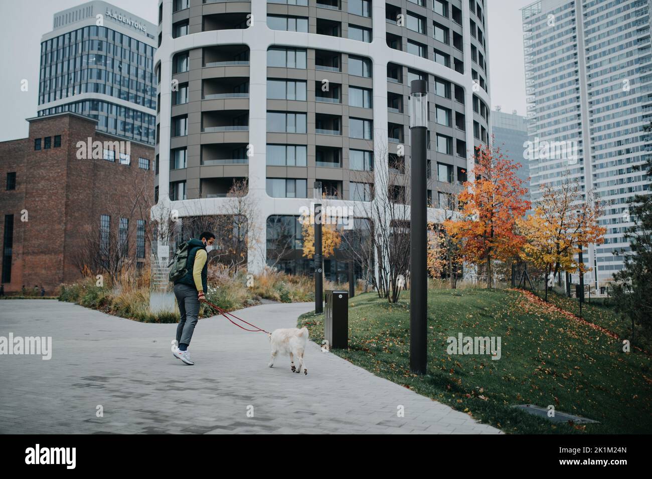 Rückansicht eines jungen Mannes mit FFP2 Atemschutzmaske, der mit seinem Hund an der Leine im Stadtpark läuft. Stockfoto