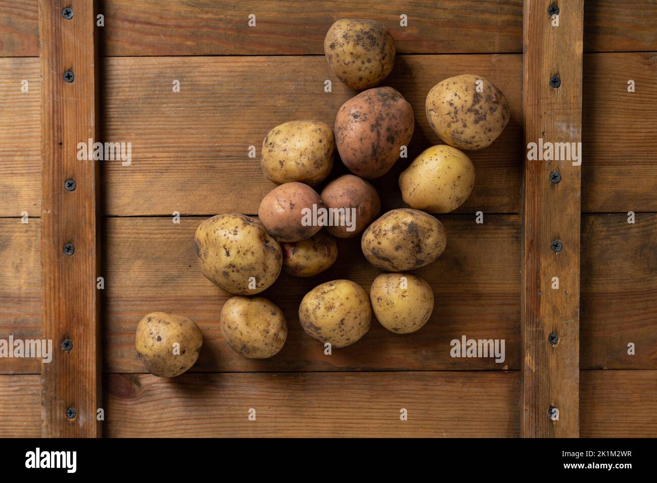 Frische Ernte von Kartoffeln auf Holzoberfläche Lebensmittel Stockfoto