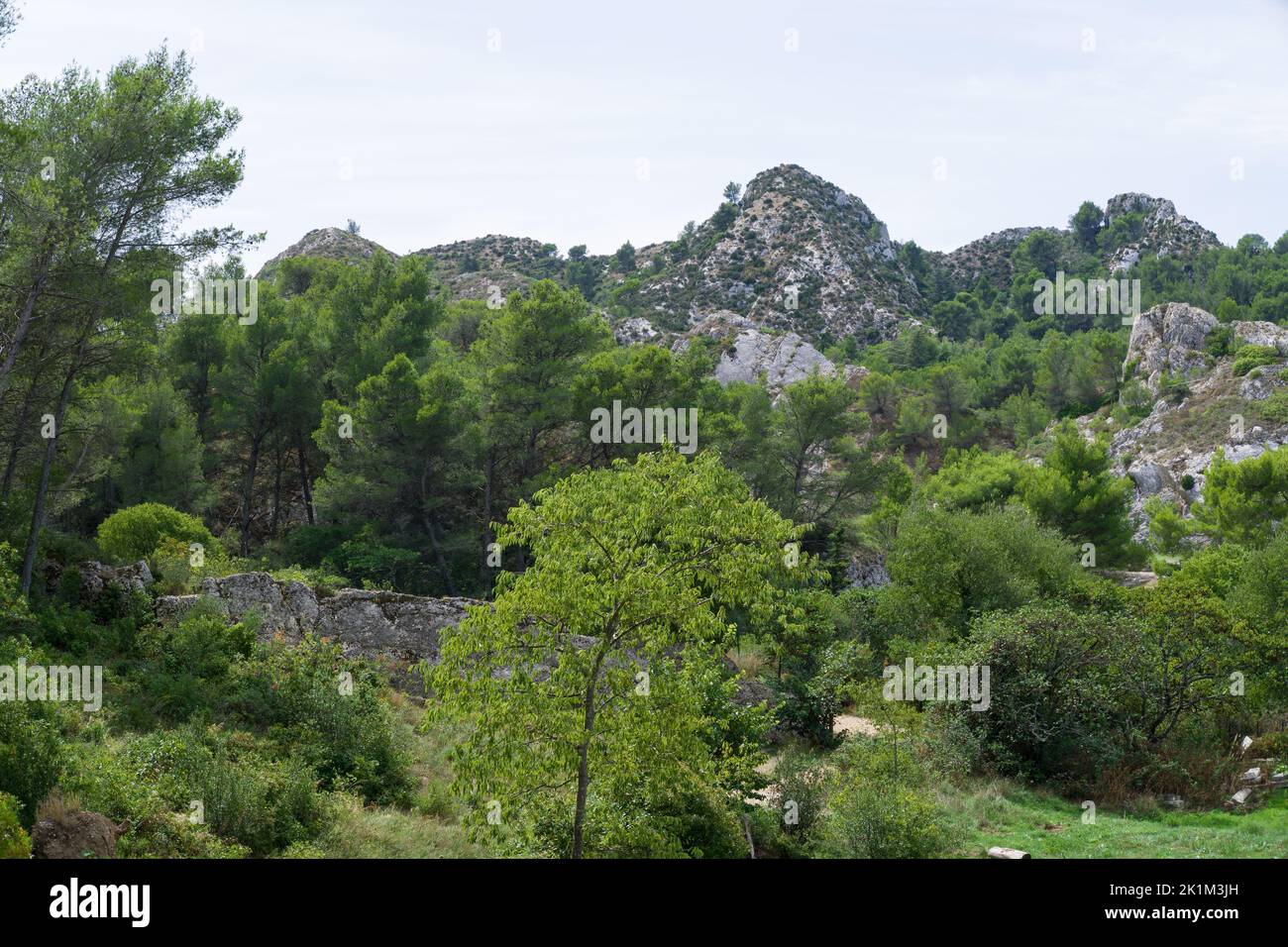 Van Gogh Land: Les Alpilles im Süden Frankreichs, oft gemalt von Vincent van Gogh. Aufgenommen in Saint-Rémy de Provence. Stockfoto