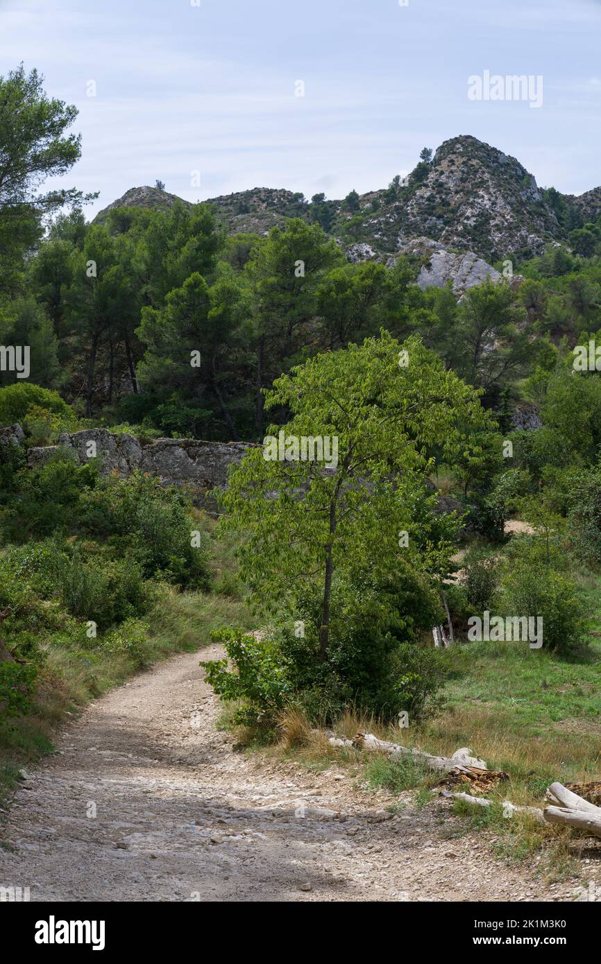 Van Gogh Land: Les Alpilles im Süden Frankreichs, oft gemalt von Vincent van Gogh. Aufgenommen in Saint-Rémy de Provence. Stockfoto