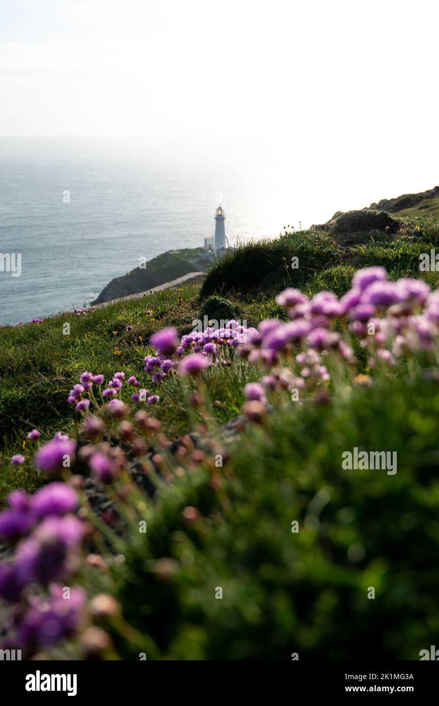 Kleine Auswahl an Fotos, die auf Anglesey aufgenommen wurden Stockfoto